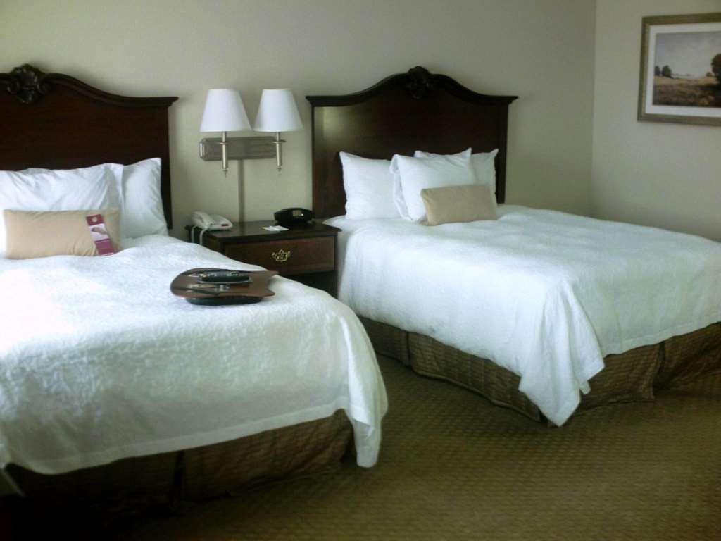 Hampton Inn Fort Stockton Rom bilde